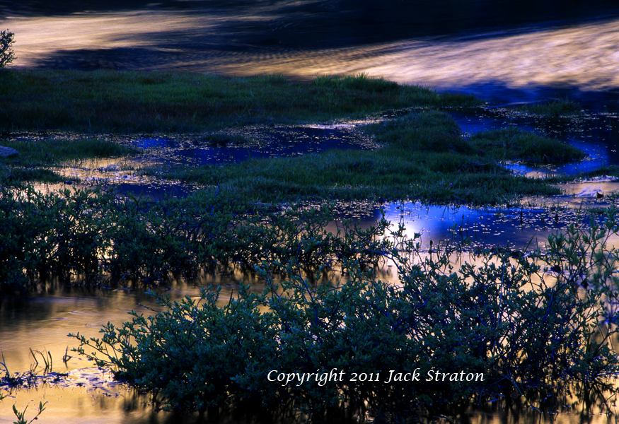 Fan of gold, Heart Lake, Little lakes Valley