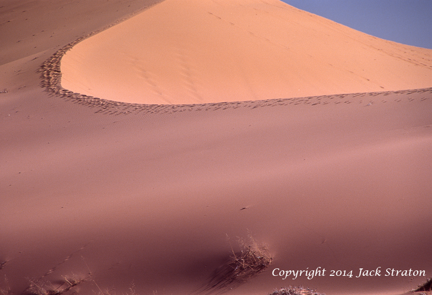 Tracks on my mind Coral Pink Sand Dunes SP 28Q18 3-19-14