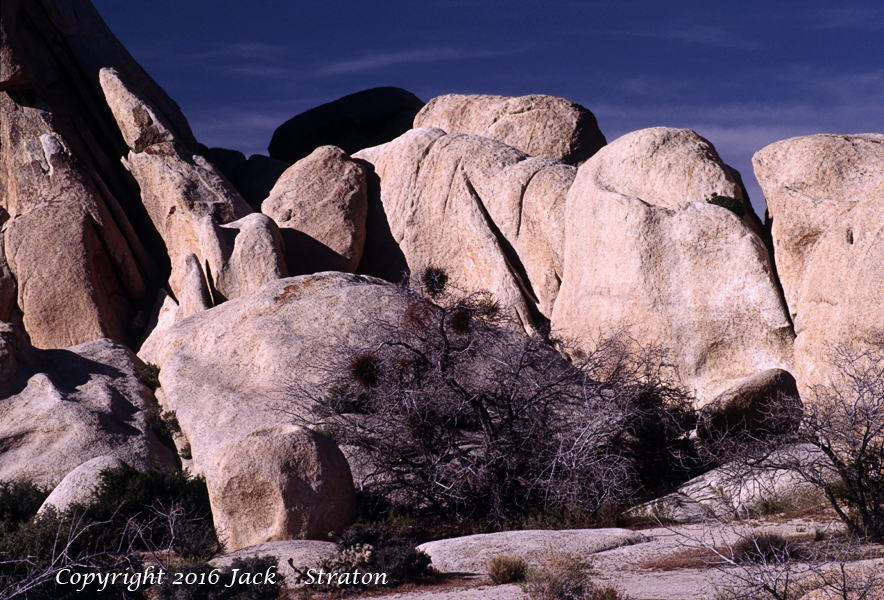 Shining Joshua Tree NP Hidden Valley 20X8 3-23-16