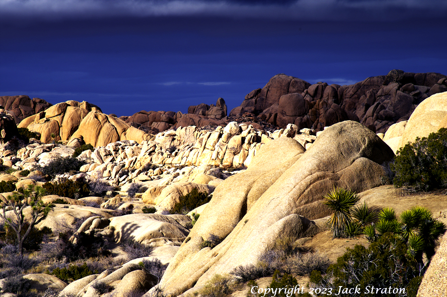 The promised land Joshua Tree 3657K1iiM3