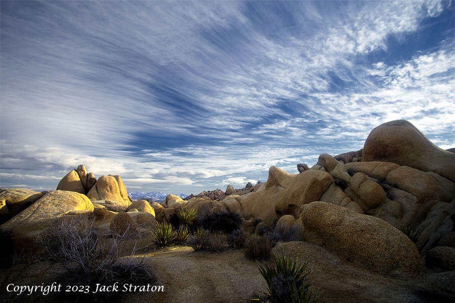 The promised land Joshua Tree 3657K1iiM3