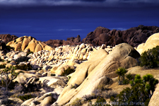 The promised land Joshua Tree 3657K1iiM3 1-4-23