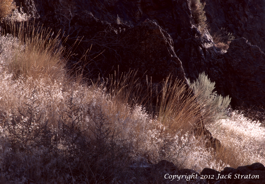 Oats  Smith Rock 30P5 9-9-12