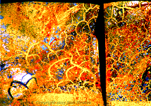 Circulatory arising from the Eaton Fire Altadena 1578K1iiW3 3-17-25
