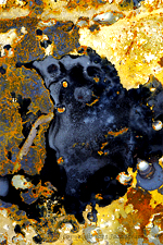 Reckoning arising from the Gray Fire Medical Lake 6379K1iiP5 10-6-23