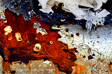 Smaug intent, arising from the Gray Fire Medical Lake 6517K1iiQ1 10-6-23